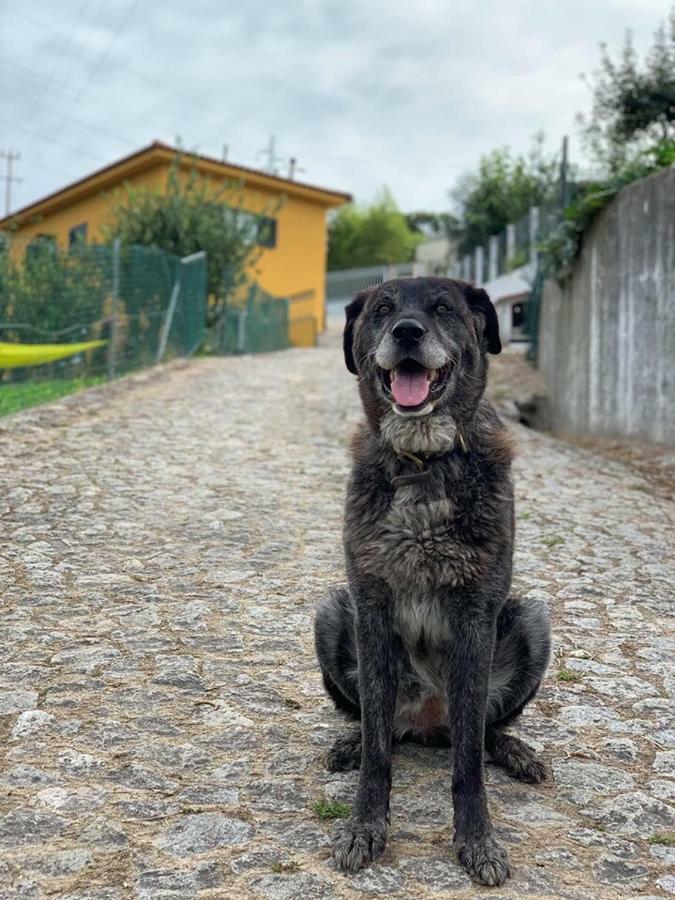 Вілла Casinha A Porta Арока Екстер'єр фото